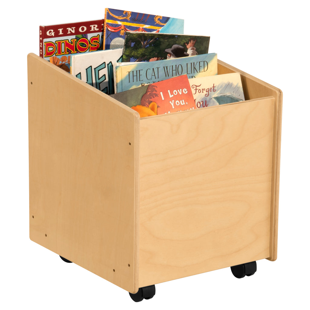 Big Book Storage Cart